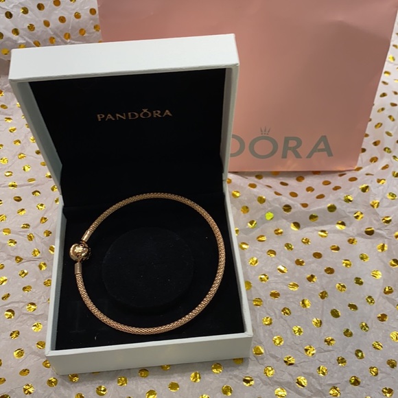 Pandora Charm  Bracelet - Picture 3 of 9